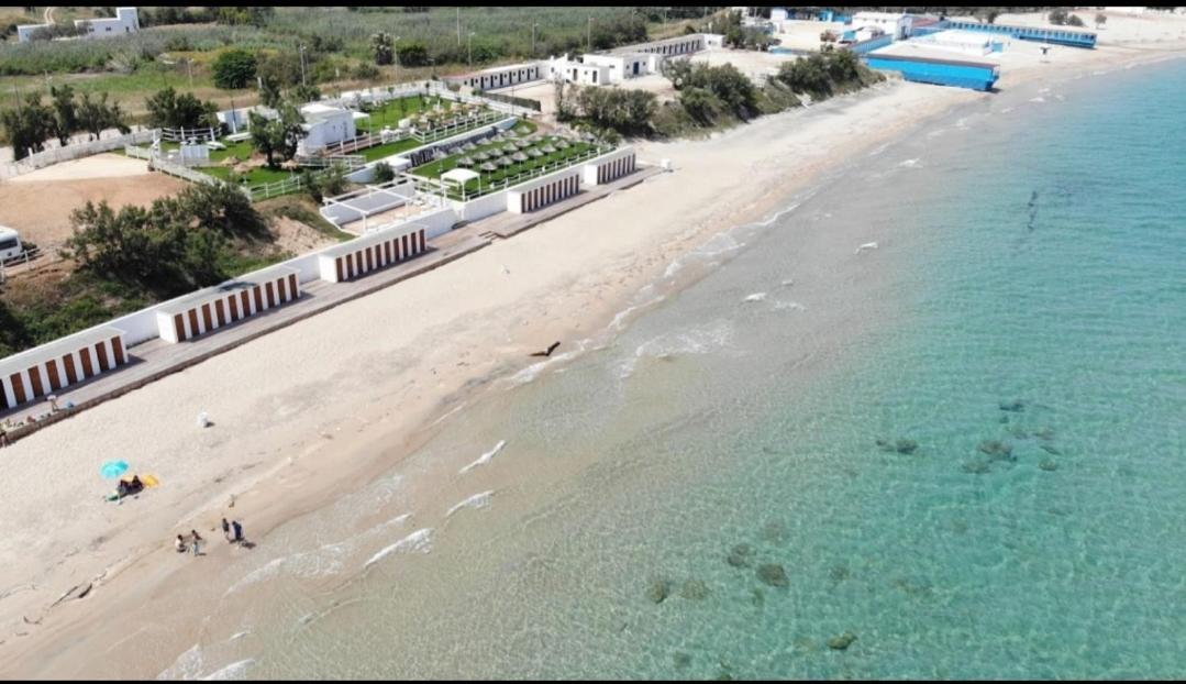 Musa Balbisiana Casa Olea Brindisi